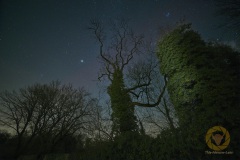 Polarlichter im Wisentgehege Springe