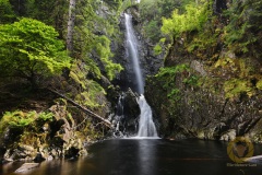 Plodda Falls