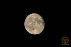 Mond 50 Bilder mit 1/250 Sekunden