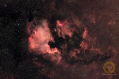 Nordamerikanebel NGC7000. 30 Bilder mit 2 Minuten, ISO 400, 135 mm, F 2,0 an EOS 60Da auf Skyguider Pro mit MGEN3. Je 15 Flats, Darkflats, Biases, 9 Darks