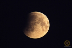 Vollmond bei beginnender Mondfinsternis. Einzelbild 1/250 Sekunde, ISO 1250, 1200 mm