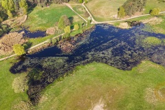 Wildpark Schorfheide