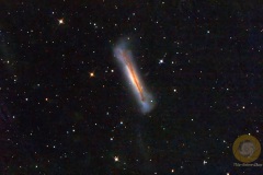 NGC3628, Hamburger-Galaxie im Leo Triplett, 56 Bilder mit 4 Minuten. ASI 071 MC Pro, RC 6 bei 1340 mm, auf EQ6, Gain 90, Offset 50, Dithering, Autoguiding OAG mit ASI 220 mini. Stellarmate OS auf Raspberry 4. Drizzle 2 beim Stacking.Je 20 Flats und Darkflats, 10 Darks