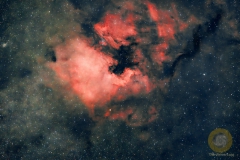 NGC 7000, Nordamerikanebel in Schwan, Wildpark Schorfheide: 26 Bilder mit 90 Sekunden, ISO 2000, 135 mm, F 2.0 an D5100a auf Star Adventurer. Dithering, keine Korrekturbilder