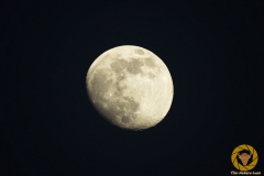 Mond