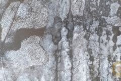 "Eiswüste" im Wildpark Schorfheide