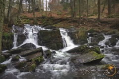 Selke-Wasserfall bei Drahtzug