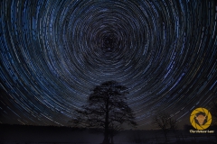 Startrails im Wildpark Schorfheide