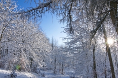 Winter im Saupark