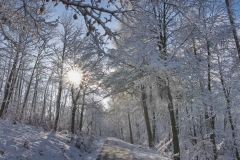 Winter im Saupark
