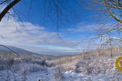 Winter im Saupark