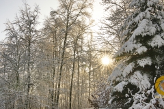 Winter im Saupark