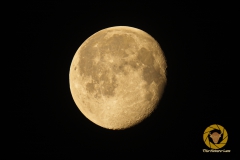 abnehmender Mond