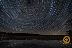 Startrails über dem Pferdegehe im Wildpark Schorfheide
