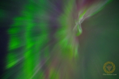 NLE_0786