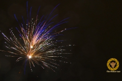 Happy New Year!!