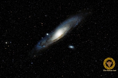 NLE_1027-1077_besten_2_on1