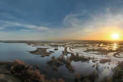 Gülper See