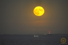 Supermond auf der Halbinsel Quiberon