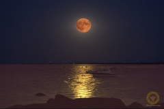 Supermond auf der Halbinsel Quiberon