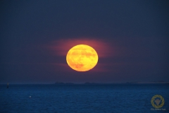 Supermond auf der Halbinsel Quiberon