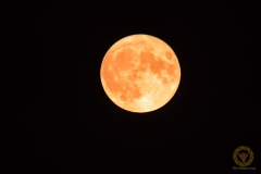 Supermond, 23 Bilder gestackt