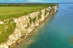 Bempton Cliffs, England