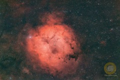 IC 1396, Elefantenrüsselnebel, Groß Schönebeck: 39 Bilder mit 420 Sekunden. ASI071 mc Pro, APo 190 mm, F 3.8, Gain 90, auf EQ6 Pro, Autoguiding ASI715 mc, 240 mm, Steuerung StellaVita, 10 Darks,10 Flats, 20 Biases. Drizzle 2 beim Stacken