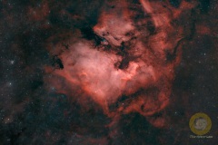 NGC 7000 im Schwan, Eispfad: 47 Bilder mit 300 Sekunden. ASI071 mc Pro, APo 190 mm, F 3.8, Gain 90, auf EQ6 Pro, Autoguiding ASI715 mc, 240 mm, Steuerung StellaVita, 10 Darks,20 Biases. Drizzle 1,5 beim Stacken
