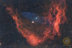 SH2-129, Flying Bat Nebula im Kepheus, Groß Schönebeck: 41 Bilder mit 300 Sekunden. ASI071 mc Pro, APo 540 mm, F 7.0 , Gain 90, auf EQ6 Pro, Autoguiding OAG ASI220 mini, Steuerung StellaVita, je 10 Darks, Flats. Darkflats. Drizzle 2 beim Stacken