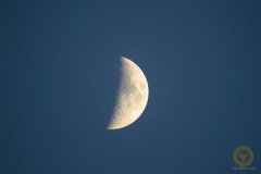Zunehmender Mond