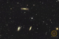 M65_Leo_oM-D5300-Apo-Eispfad_DSLR_1_NoNoise_sp