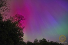 Polarlichter über Wisentgehege und Deister