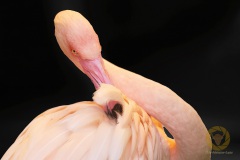 Tierpark Bochum