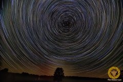 Startrails im Wildpark Schorfheide
