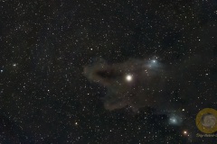 Oktober: LDN1235, Dark Shark Nebula, Wildpark Schorfheide, Vespera, Gesamtbelichtungszeit 86 Minuten.