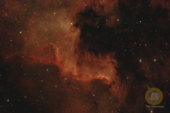 Oktober: NGC7000 Nordamerikanebel, Wildpark Schorfheide, Vespera Gesamtbelichtungszeit 70 Minuten.