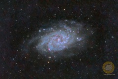 M33, Dreiecksgalaxie, Eispfad: 12 Bilder mit 180 Sekunden, ASI071 mc Pro, APO 80/540, Gain 90, - 10 Grad, StellaVita, Autoguiding OAG ASI220 mini, 0.5 Sek. Gain 400, 10 Darks