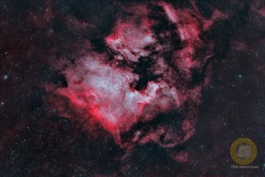 NGC7000, Eispfad: 26 Bilder mit 300 Sekunden, Gain 90, -10 Grad, ASI071 mc Pro, APO 190 mm, F 3.8 auf TeSeek 17 (first light), StellaVita, Autoguiding 60/240, ASI 715 mc, Bin 2,  2 Sekunden, Gain 400, Dither, 10 Darks, je 20 Flats und Darkflats. Drizzle 2 beim Stacking. Ha/OIII Splitt