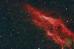Californianebel, NGC1499. 71 Bilder mit 90 Sekunden, ISO 4000, D5300a, APO540, F 6,8 auf Skyguider Pro mit MGEN3, 13 Darks plus Flat, Bias, Daqrkflat