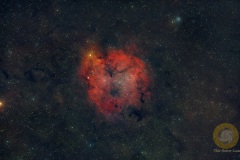 Elefantenrüsselnebel IC1396 im Wildpark, 49 Bilder mit 90 Sekunden, ISO 640, 135 mm, F 2,0 an D5100a auf Skyguider Pro. je 20 Flats, Darkflats, Biases