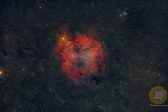 Elefantenrüsselnebel IC1396 im Wildpark, 49 Bilder mit 90 Sekunden, ISO 640, 135 mm, F 2,0 an D5100a auf Skyguider Pro. je 20 Flats, Darkflats, Biases