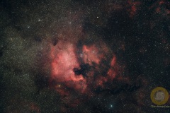 NGC 7000, Nordamerikanebel, Groß Schönebeck, D5100, 135 mm