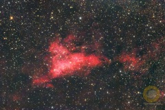 Mai: IC1318 im Schwan, Vespera, Eispfad, 60 Minuten Gesamtbelichtungszeit