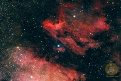 IC5070, Pelikannebel. D5300, Apo 5m mm, Wildpark