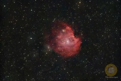 Affenkopfnebel NGC2174 im Orion, 250 mm F 5, Groß Schönebeck, 95 Minuten Gesamtbelichtungszeit
