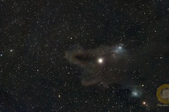 Oktober: LDN1235, Dark Shark Nebula, Wildpark Schorfheide, Vespera, Gesamtbelichtungszeit 86 Minuten.