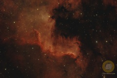 Oktober: NGC7000 Nordamerikanebel, Wildpark Schorfheide, Vespera Gesamtbelichtungszeit 70 Minuten.