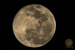 Supermond im November, statt der durchscnittlichen 387tsd km war er nur 357tsd km entfernt.  Stack aus Video, ZWO ASI071 MC Pro an RC6 1340 mm