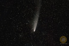 Komet C/2023 A3,  81 Bilder mit 30 Sekunden, D5100a, 135 mm F 2, ISO 3200, auf Staradventurer. 20 Darks und Biases